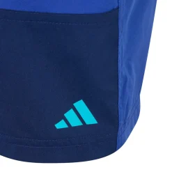 adidas - Kid's Colorblock Shorts - Boardshorts Lucid Cyan / Semi Lucid Blue Outlet