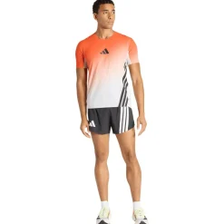 adidas Terrex Laufbekleidung|Hosen-- XPR Pro Light Shorts - Laufshorts Black
