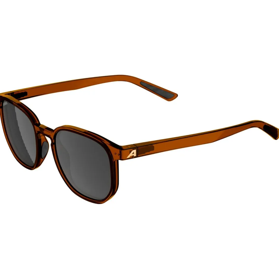 Alpina Wanderbekleidung|Brillen-- Dimont S3 - Sonnenbrille