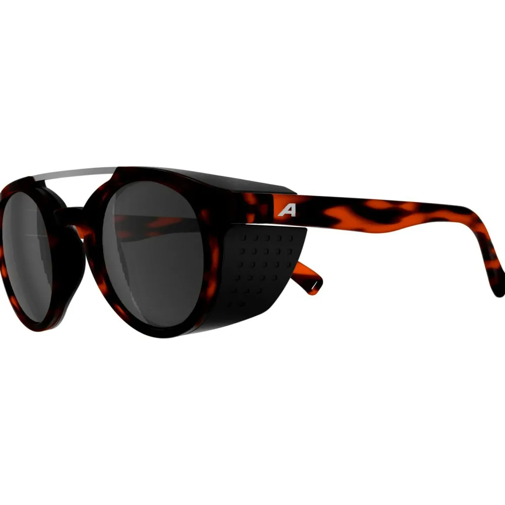 - Glace S3 - Gletscherbrille < Alpina Hot