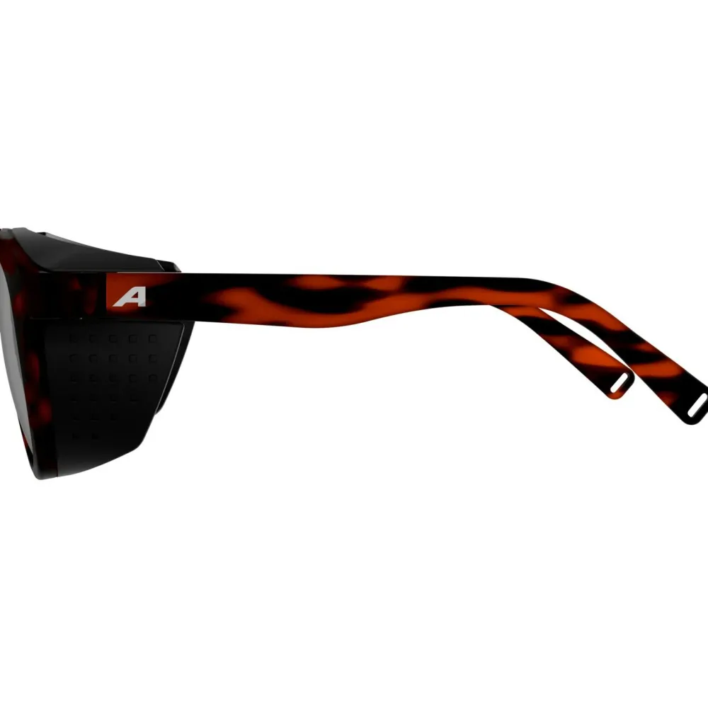 - Glace S3 - Gletscherbrille < Alpina Hot