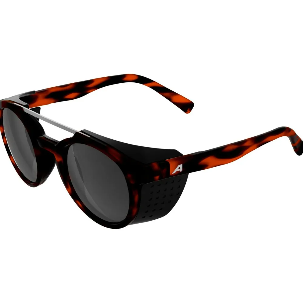 - Glace S3 - Gletscherbrille < Alpina Hot