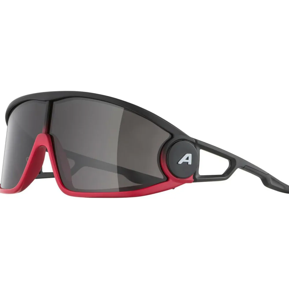 Alpina - Legend Cat. 3 - Sonnenbrille