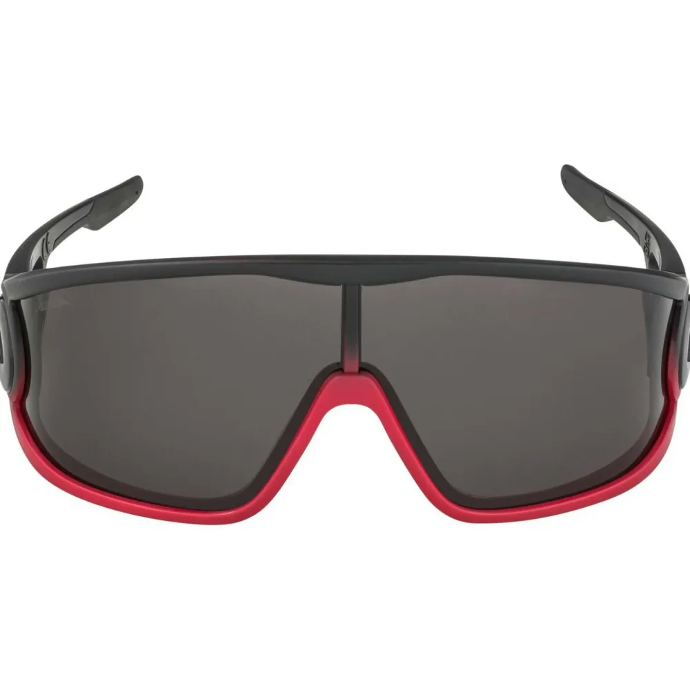 Alpina - Legend Cat. 3 - Sonnenbrille