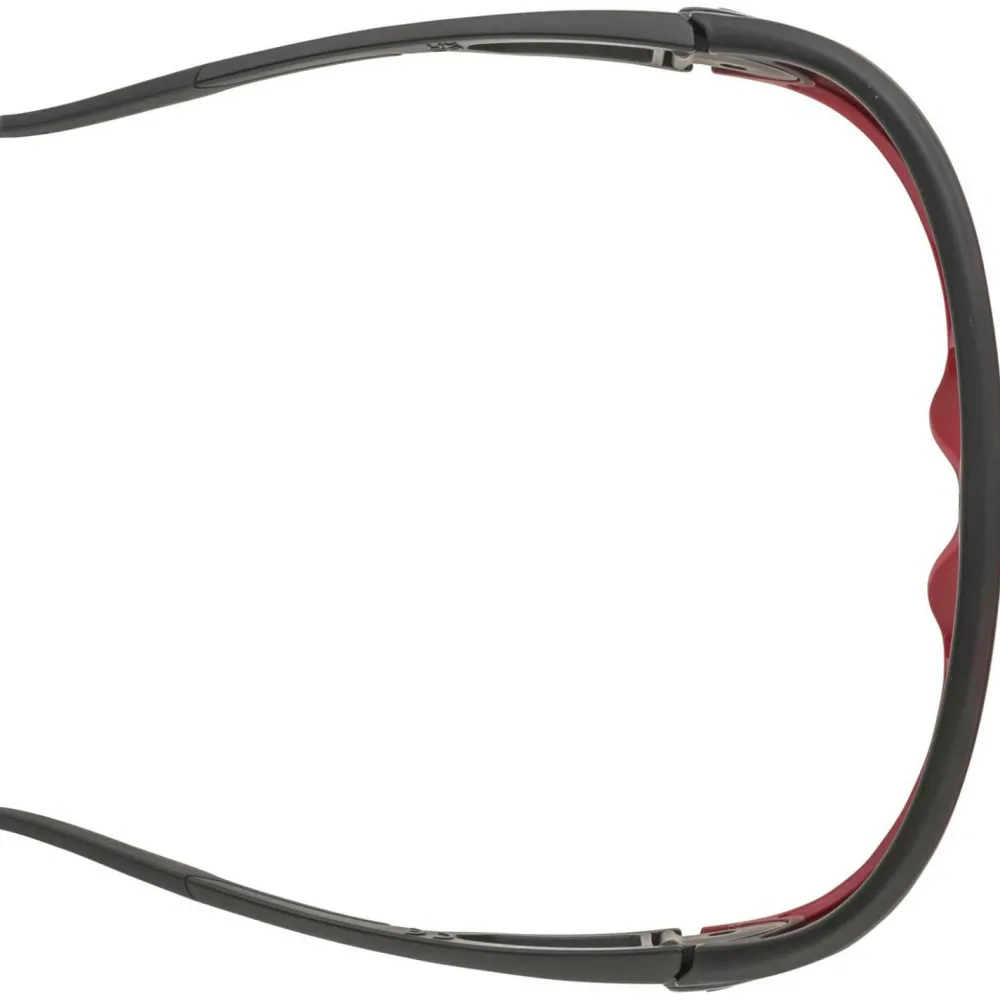 Alpina - Legend Cat. 3 - Sonnenbrille