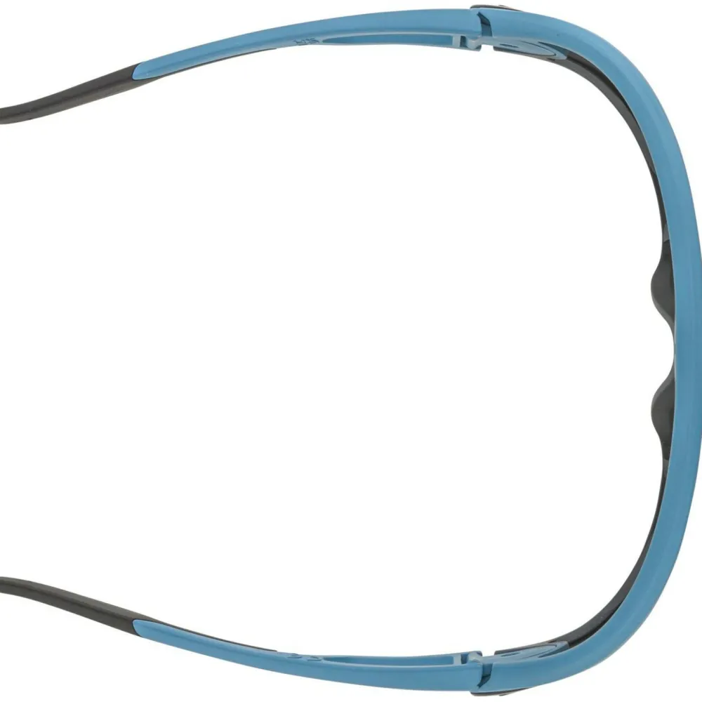- Legend Mirror Cat. 3 - Sonnenbrille < Alpina Outlet
