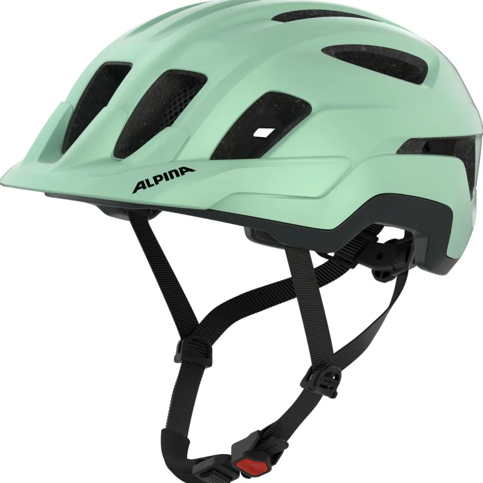 Alpina - Paranus - Radhelm