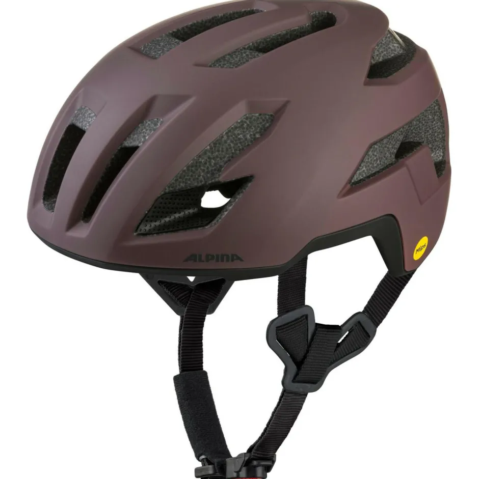 Alpina - Taunus Gravel Mips - Radhelm