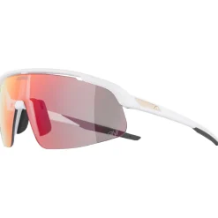 - Turbo Pro S QV Mirror Photochromic S1-3 - Fahrradbrille < Alpina Best