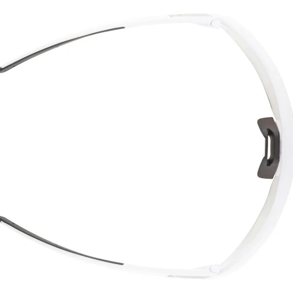 - Turbo Pro S V Photochromic S1-3 - Fahrradbrille < Alpina Discount