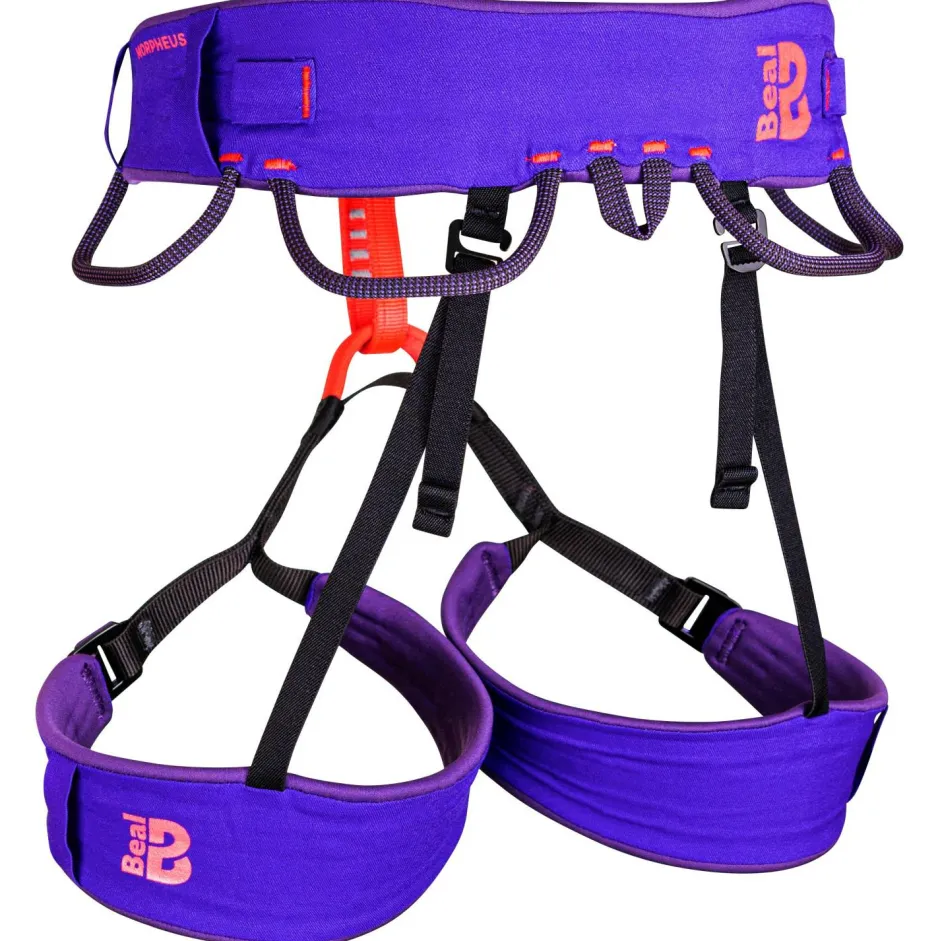 Beal Klettergurte|Hüftgurte-- Morpheus - Klettergurt Purple