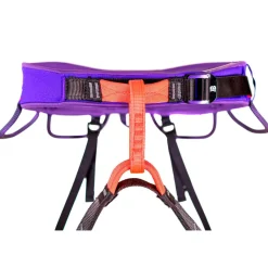 Beal Klettergurte|Hüftgurte-- Morpheus - Klettergurt Purple