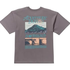 Billabong - Grow OG Adiv S/S - T-Shirt Grey Violet Best