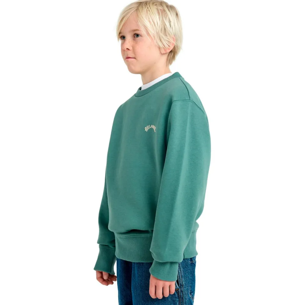 - Kid's Arch Crew - Pullover < Billabong Sale