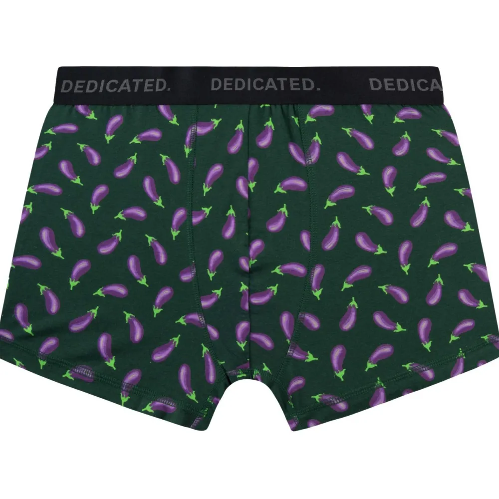 DEDICATED - Boxer Briefs Kalix Egg Plant - Alltagsunterwäsche Dark Green
