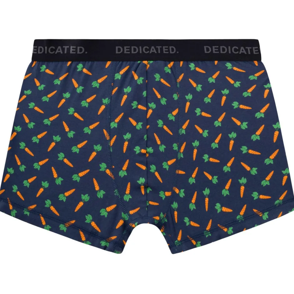 DEDICATED - Boxer Brief Kaix Carrot - Atagunterwäche
