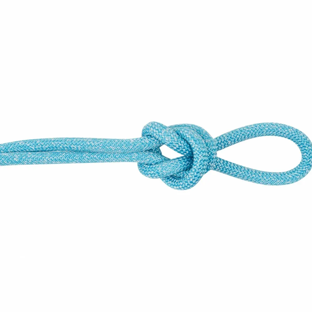 Edelrid - Boa 9.8 mm + Liner - Einfachseil Blue Online