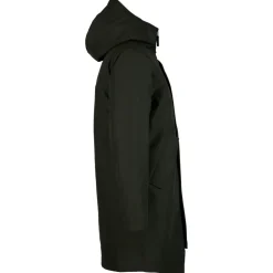 Elvine - Gunter - ante