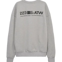 Halo Alltagsbekleidung|Pullover & Hoodies-- Graphic Boxy Crew - Pullover Light Grey Melange