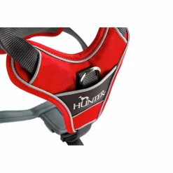 - Harness Divo - Hundegeschirr < Hunter Hot