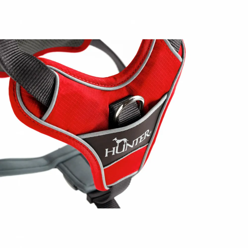 - Harness Divo - Hundegeschirr < Hunter Hot