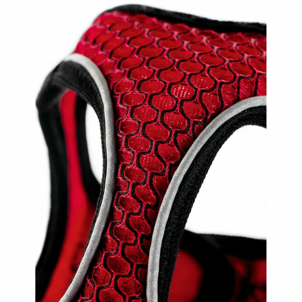 - Harness Hilo Comfort - Hundegeschirr < Hunter Clearance