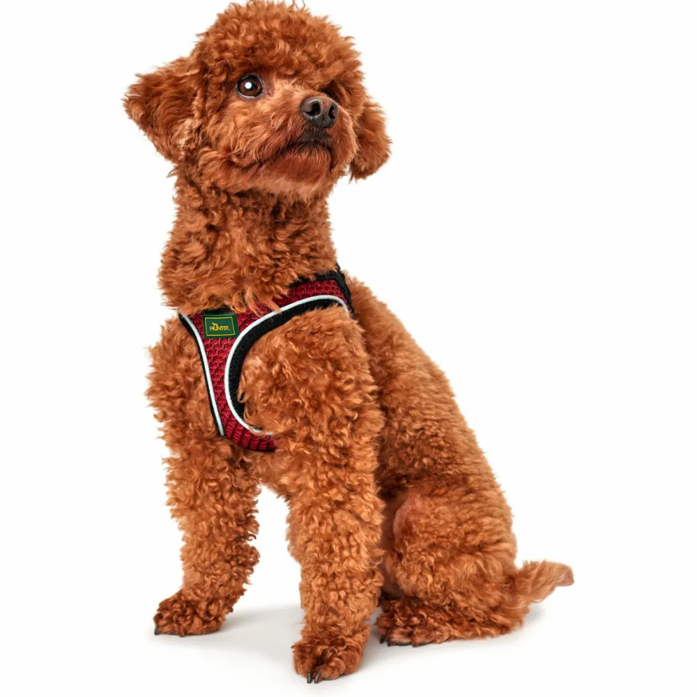 - Harness Hilo Comfort - Hundegeschirr < Hunter Clearance
