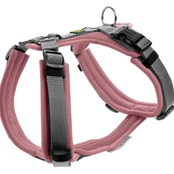 - adon Up - Hundegeschirr < Hunter Outlet