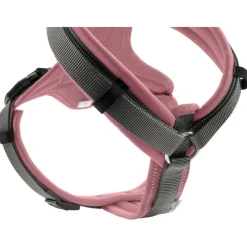- adon Up - Hundegeschirr < Hunter Outlet
