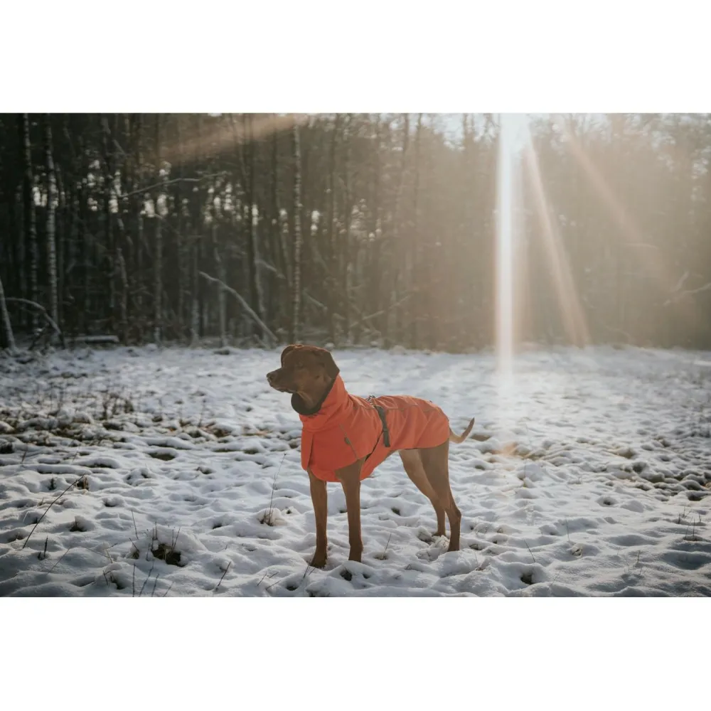 - Mantel Nordby - Hundemantel < Hunter Discount