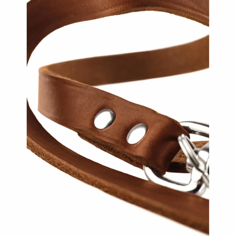 - Verstellbare Führleine Leder - Hundeleine < Hunter