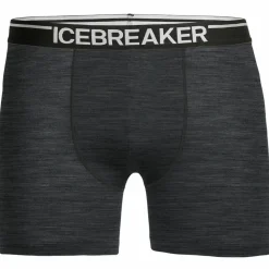Icebreaker - Anatoica Boxer - erinounterwäche