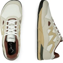 - Sneaker Addict - Sneaker < Joe Nimble Outlet