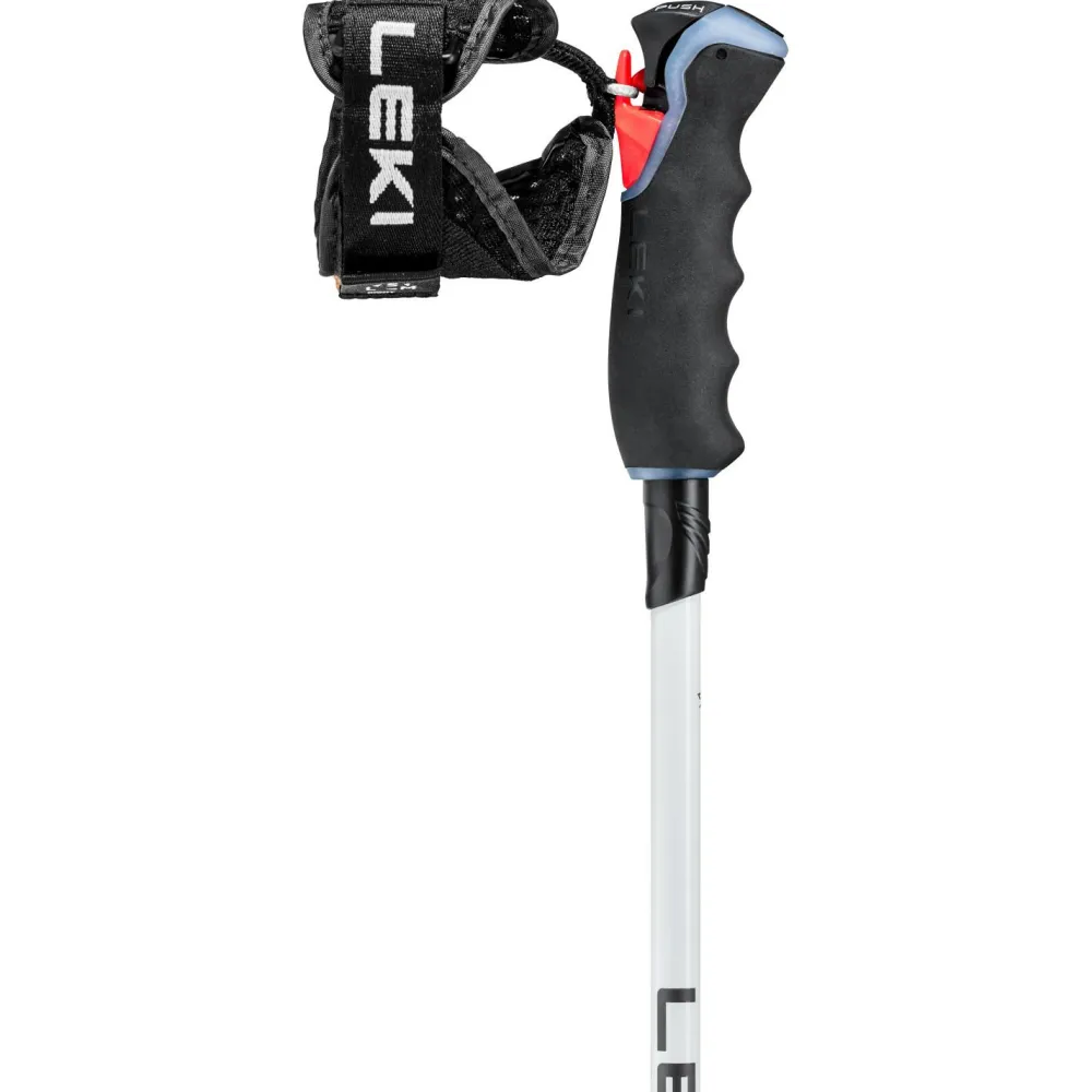 Leki - Women's Carbon 14 3D - Skistöcke Naturalcarbon / White / Gold Best