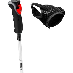 Leki - Women's Carbon 14 3D - Skistöcke Naturalcarbon / White / Gold Best