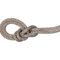 - 8.0 Alpine Core Protect Dry Rope - Halbseil < Mammut Outlet