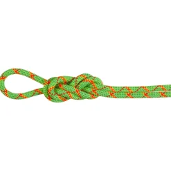 - 8.0 Alpine Core Protect Dry Rope - Halbseil < Mammut Outlet