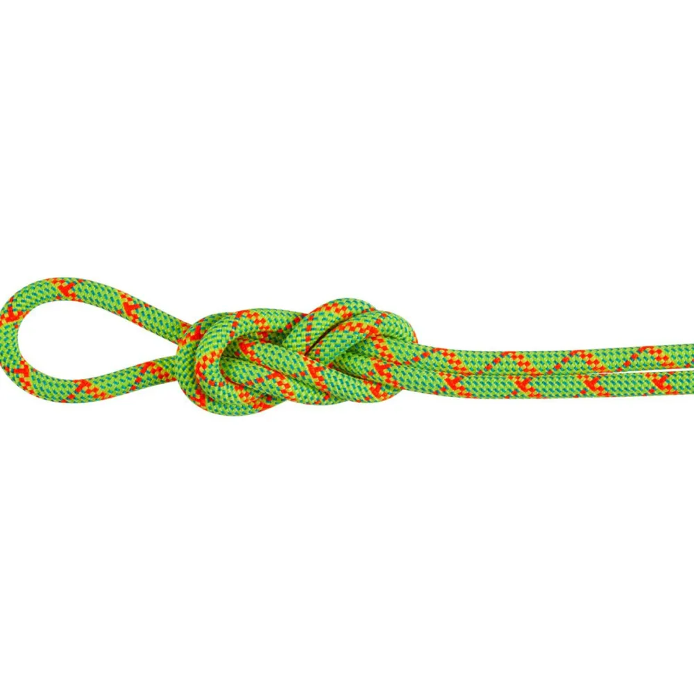 - 8.0 Alpine Core Protect Dry Rope - Halbseil < Mammut Outlet