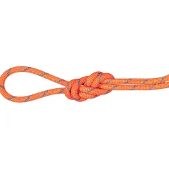 Mammut - 7.5 Alpine Sender Dry Rope - Halbseil Clearance