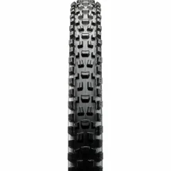 Maxxis Reifen & Schläuche-- Assegai 29'' (63-622) WT 3C MaxxTerra EXO TR - Fahrradreifen