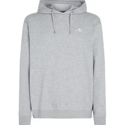 O'Neill Pullover & Hoodies|Alltagsbekleidung-- Small Logo Hoodie - Hoodie