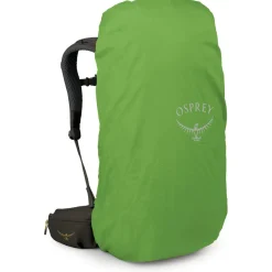 Osprey - Kestrel LT 45 - Trekkingrucksack Moss Green
