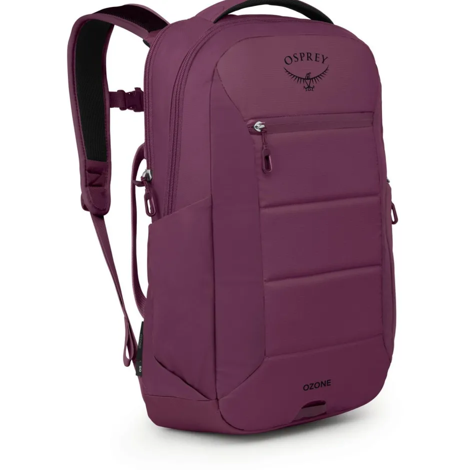 Osprey Daypacks|Daypacks-- Ozone Laptop Backpack 18 - Daypack
