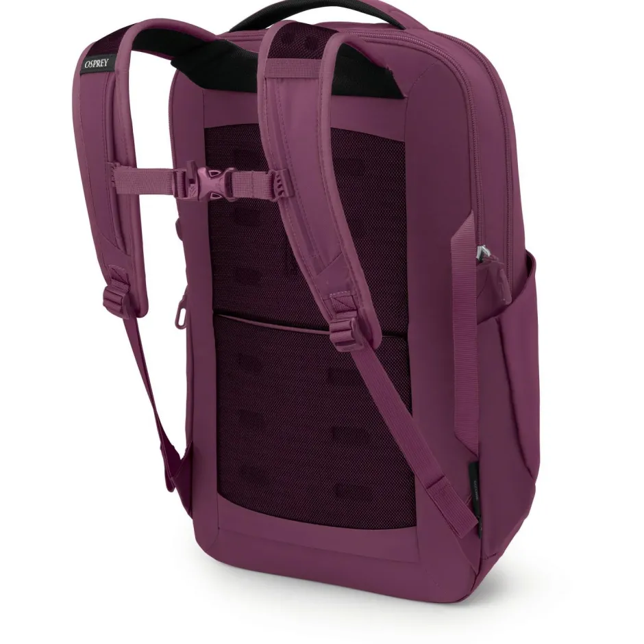 Osprey Daypacks|Daypacks-- Ozone Laptop Backpack 18 - Daypack
