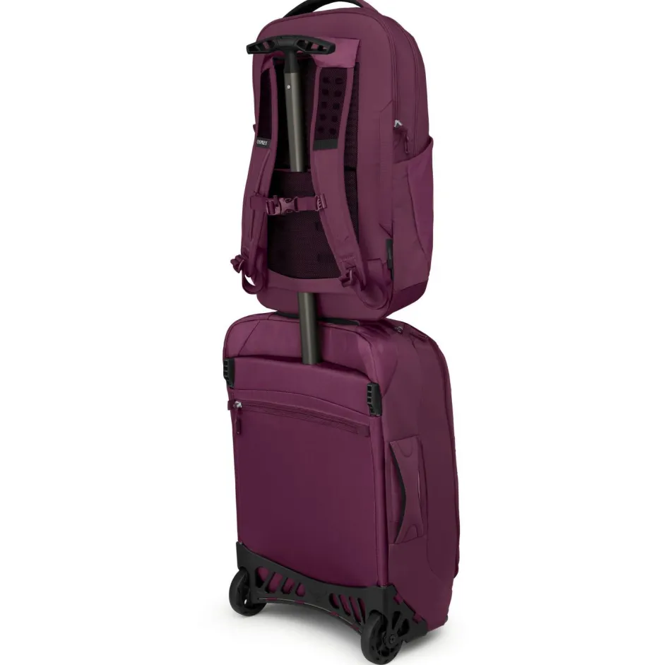 Osprey Daypacks|Daypacks-- Ozone Laptop Backpack 18 - Daypack