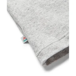 Passenger - Classic Logo Recycled Cotton T-Shirt - T-Shirt Mid Grey Marl Sale