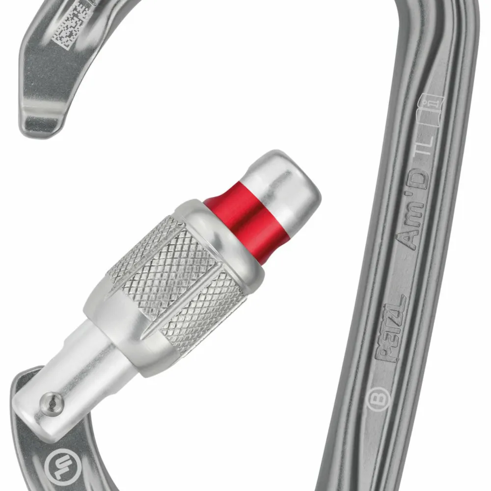 Petzl - Am'D Screw-Lock - Schraubkarabiner Grey Discount