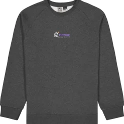 Picture Pullover & Hoodies|Alltagsbekleidung-- Toanah Crew - Pullover