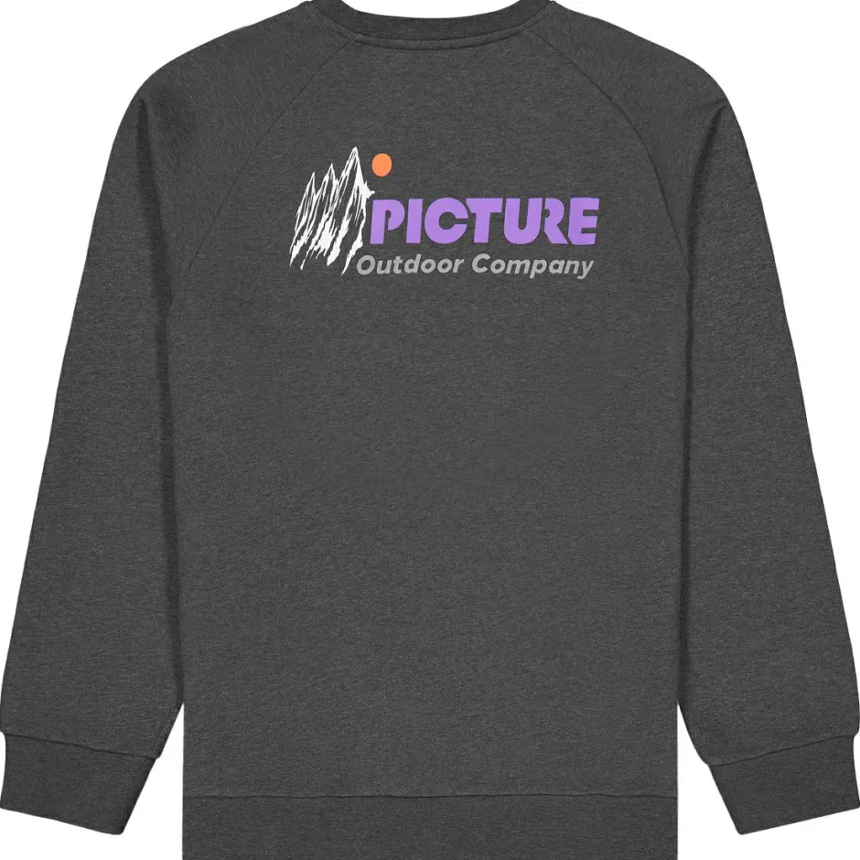 Picture Pullover & Hoodies|Alltagsbekleidung-- Toanah Crew - Pullover