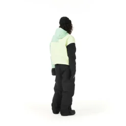 Picture - Women's Citrik Jacket - Skijacke Patchwork Online
